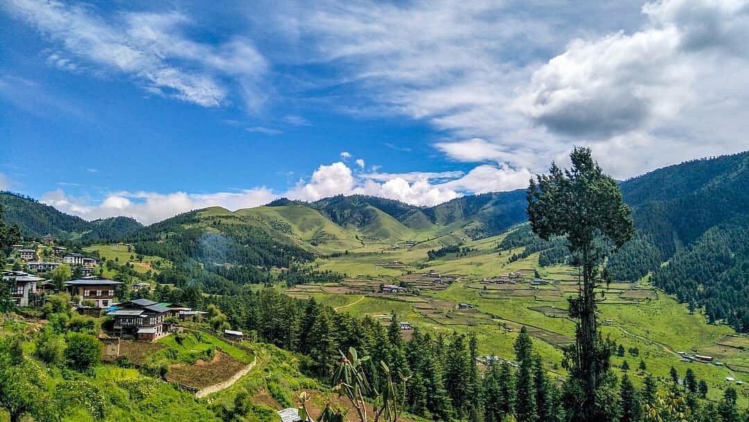 Gangtey Valley (Phobjikha Valley)